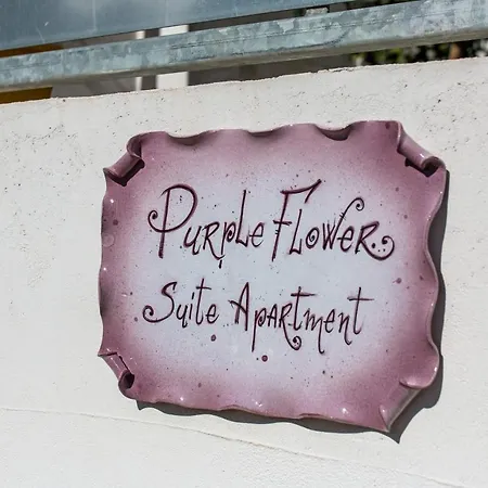 Purple Flower 公寓 卡拉古诺内