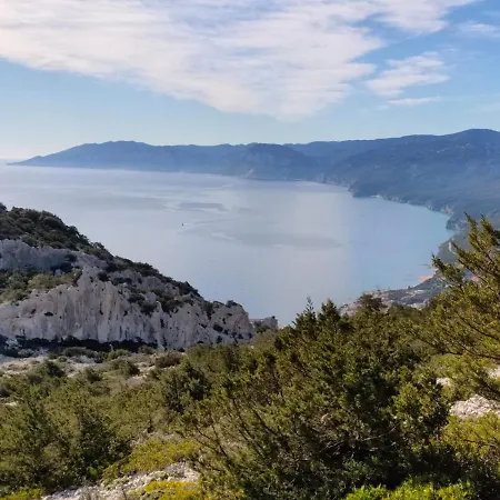 Purple Flower Apartament