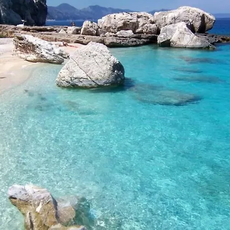 Purple Flower * Cala Gonone