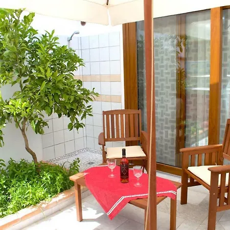 Purple Flower Apartament