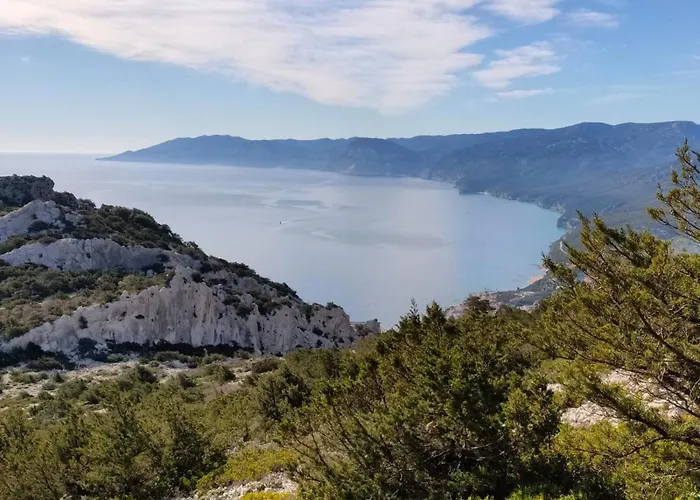 Purple Flower Apartament