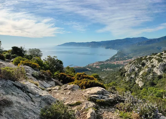 Apartament Purple Flower *