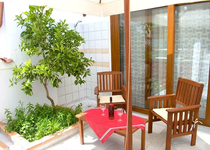 Purple Flower Apartament